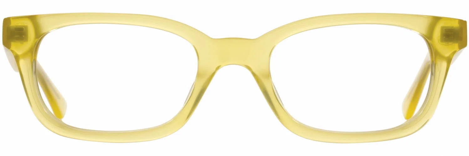 Alan J AJ100 Eyeglasses - view 19